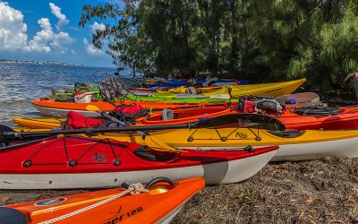 Video: Kayaking Robinson Preserve