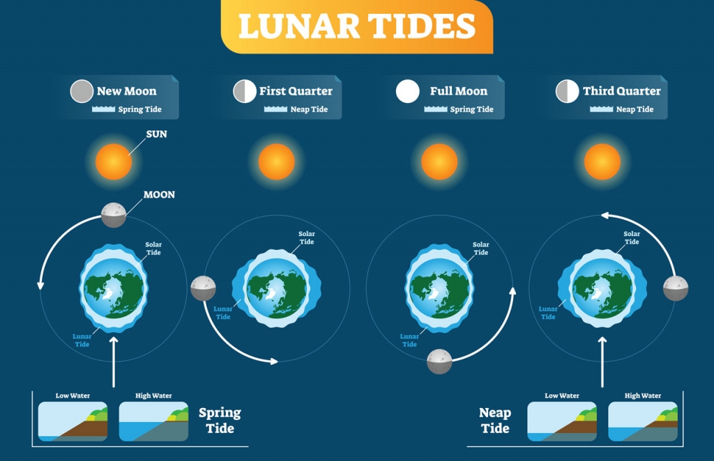 Understanding Ocean Tides & Current | The Outdoor Life